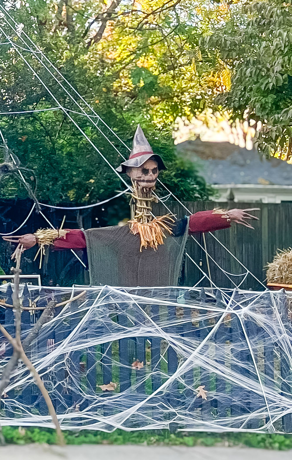 scarecrow in yard