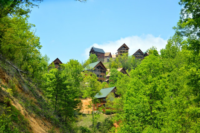 The Great Smoky Mountains