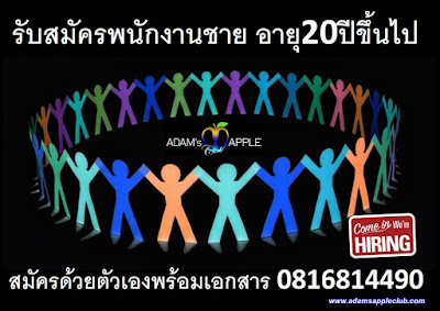 Job offer Vacancy Adams Apple Club Chiang Mai Gay Bar Host Bar Ladyboy Cabaret Male Entertainment