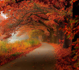 Beautiful Autumn HD Wallpaper Photos