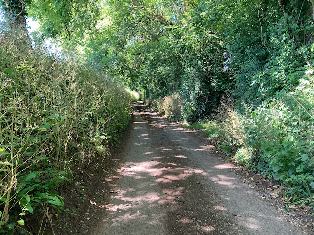 singletrack gravel covered lanes