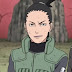 Did Shikamaru Nara really deserved to be promoted to Chunin?