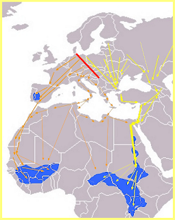 Rutas migratorias de las cigüeñas