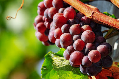 10 secrets found in grapes