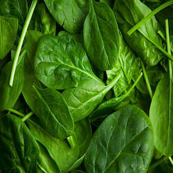 Basil, পুঁইশাক, পুঁই শাক