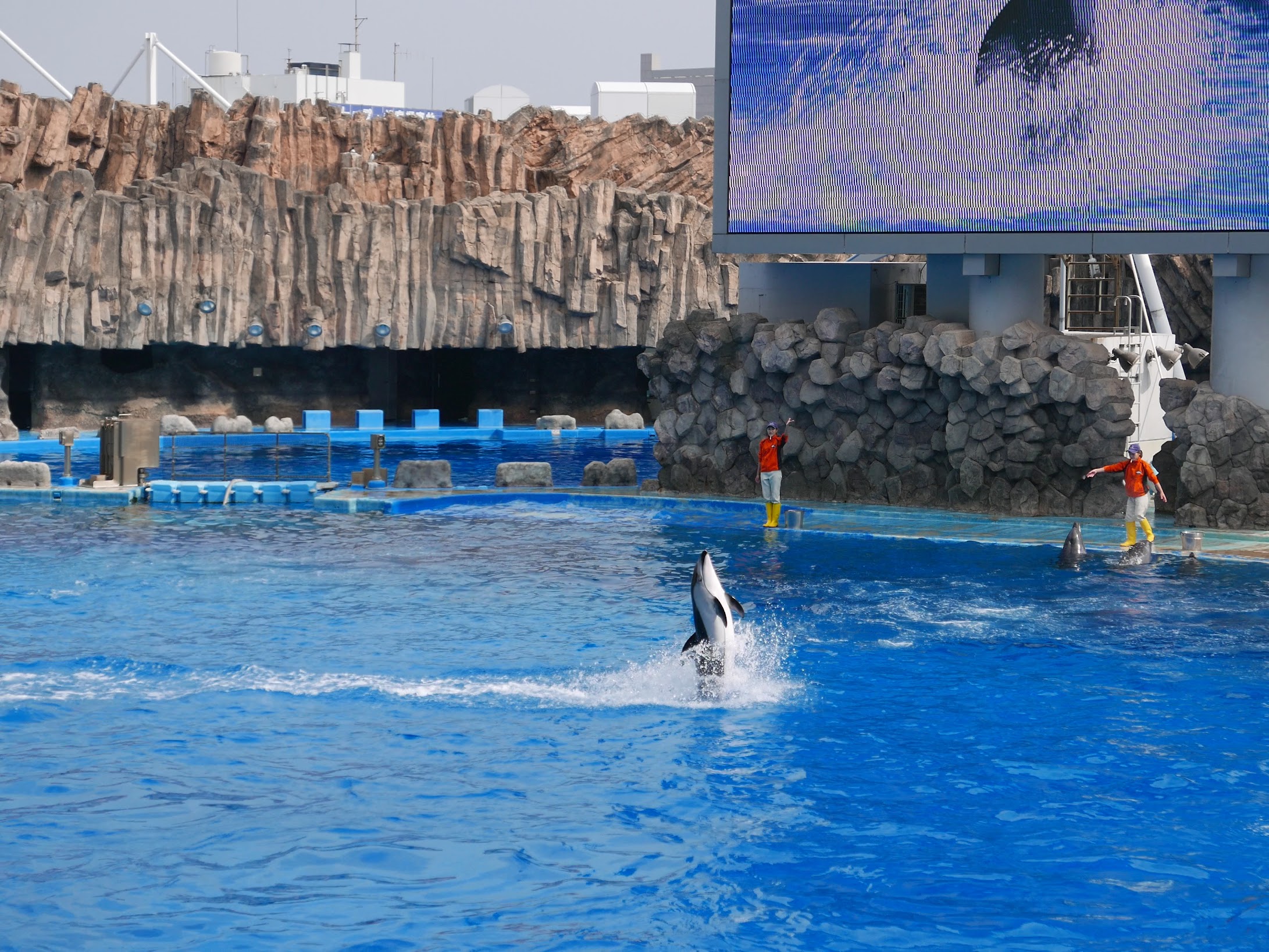 名古屋港水族館