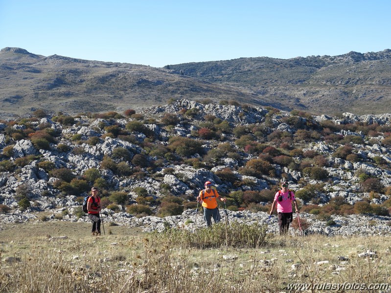 Valle de Lifa