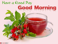 New Good Morning Whatsapp Messages Free 013.jpg