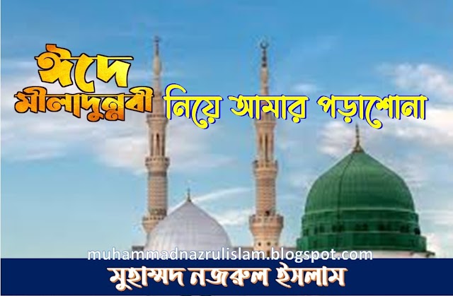 ঈদে মিলাদুন্নবী নিয়ে আমার পড়াশোনা - মুহাম্মদ নজরুল ইসলাম