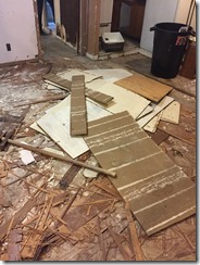 Basement Demolition