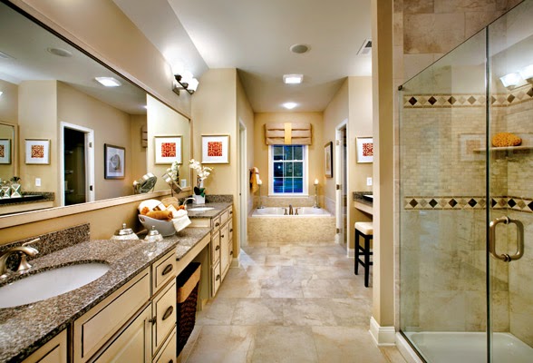 Luxury Master Bathroom Design