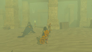 Riju training the Northern Ruins, with Patracia nearby