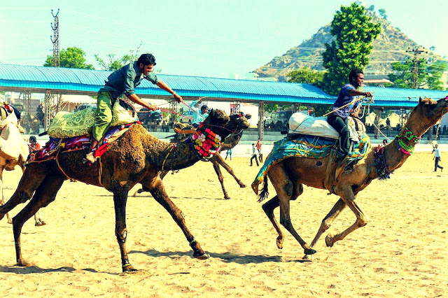 Pushkar, Pushkar blog, Puskar fair, myworldinmybagpack