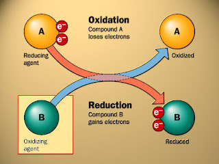 Ilmu Kimia Energi Ionisasi, Afinitas Elektron  dan Nilai Keelektronegatifan dalam Satu Tabel Periodik Unsur (Berhubungan dengan jari-jari atom) blog kimia