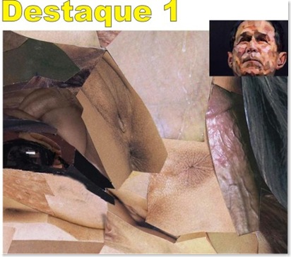 bush destaque 1