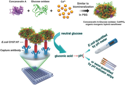 Biosensors