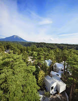Daisen Unusual Natural House Design Wraps Around Trees