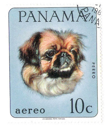 Panama Peke