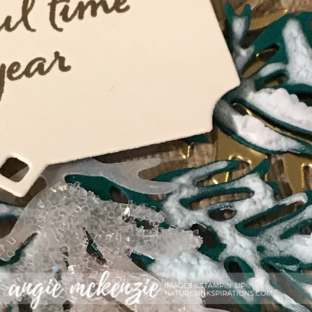 By Angie McKenzie for Stampin' Dreams Blog Hop; Click READ or VISIT to go to my blog for details! Featuring a sneak peek of the Peaceful Boughs Bundle, Ice Stampin' Glitter, Shimmery Crystal Effects, Snowfall Accents Puff Paint by Stampin' Up!; #pineboughs  #christmascards #peacefulboughsstampset #peacefulboughsbundle #naturesinkspirations #makingotherssmileonecreationatatime #cardtechniques #stampinup #handmadecards #3dprojects 