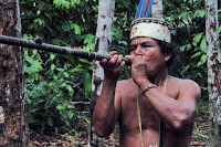 Амазонские племена: хиваро