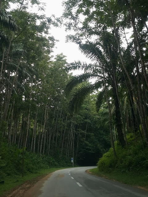 Sejauh Mana Kita Hidup Dengan Rukun Negara?