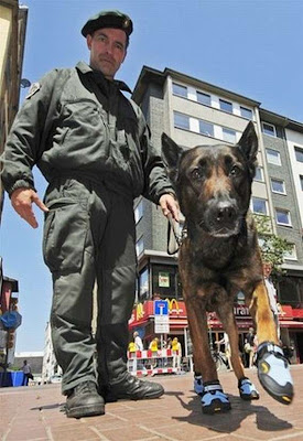 Cool Police Photos Seen On www.coolpicturegallery.us