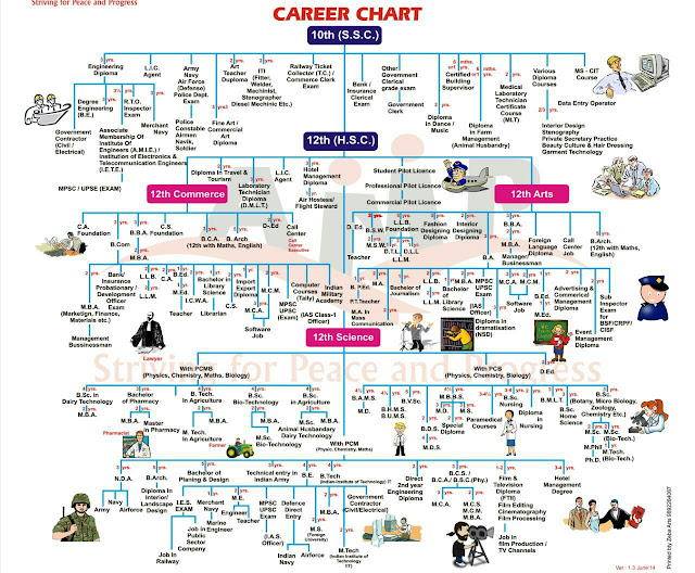 CAREER GUIDANCE AFTER 12TH