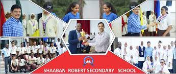 Various Teaching Jobs at Shaaban Robert Secondary School