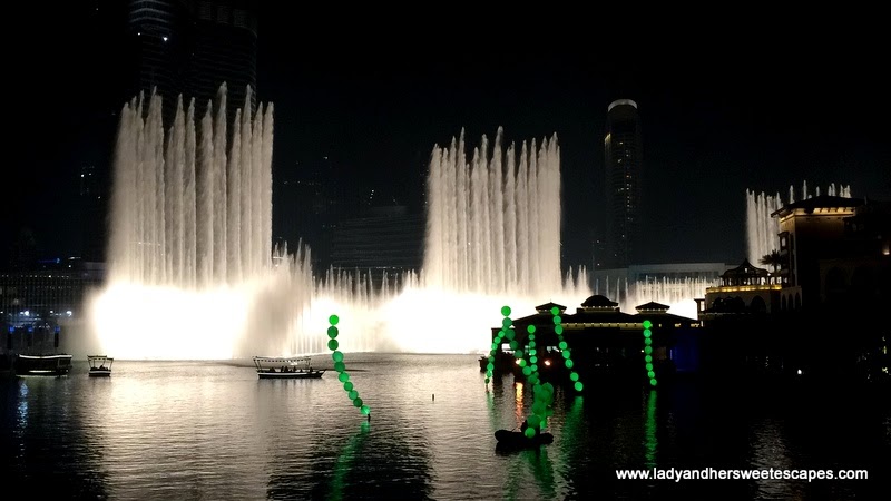 Luminous Algae at Dubai Festival of Lights