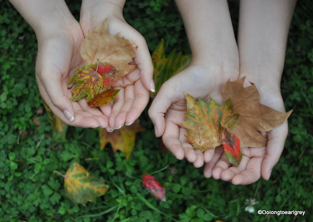 Signs of Autumn, Frankfurt, Germany