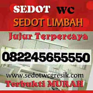 SEDOT LIMBAH LAMONGAN MURAH