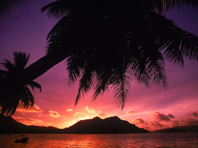 tropical beach sunset wallpaper. Place/Travel Wallpaper