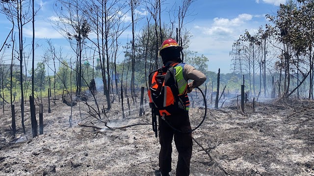 Gerak Cepat, Pammat Dit Samapta Polda Kaltim Bantu Tangani Kebakaran Lahan