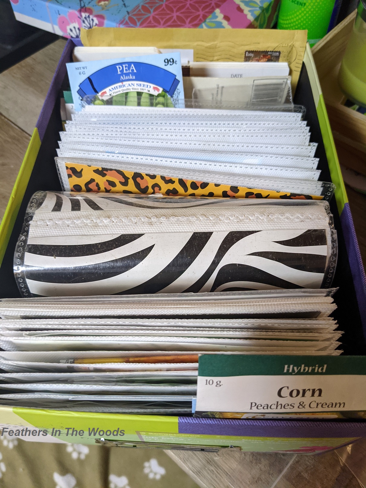 Seed Storage + Organization (And My Dollar Store Solution