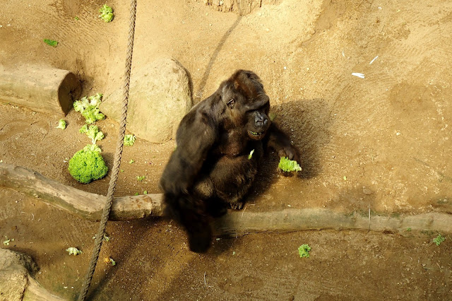 Ausflug Zoo Rostock