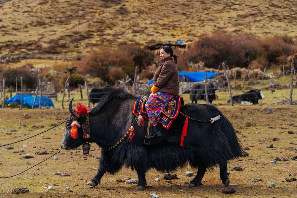 BHUTAN ROYAL HIGHLAND FESTIVAL