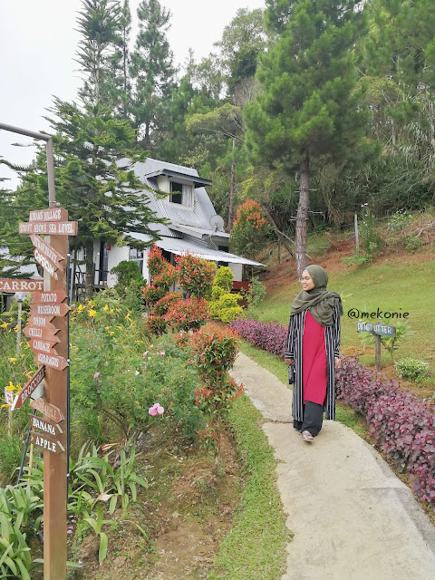 PENGINAPAN DI SABAH : KIRAM'S VILLAGE,KUNDASANG SABAH