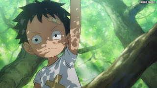 ワンピースアニメ 1029話 ルフィ 幼少期 かわいい Monkey D. Luffy | ONE PIECE Episode 1029