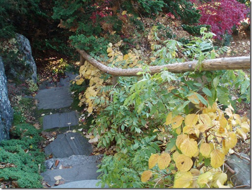 Halloween 049
