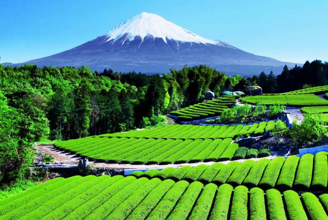 Pemandangan Alam Kita Foto Pemandangan Gunung Dan Sawah