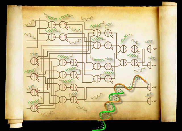 Komputer Super Canggih : Komputer DNA itu Nyata!
