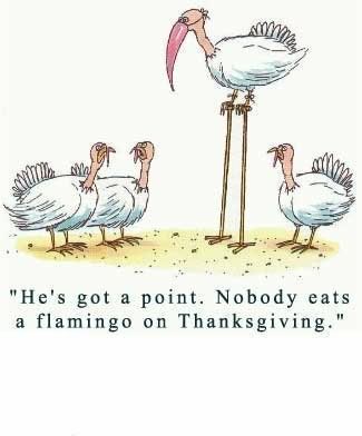 Thanksgiving Funny Pictures=