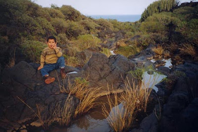 malpais guimar malpaís güímar tenerife