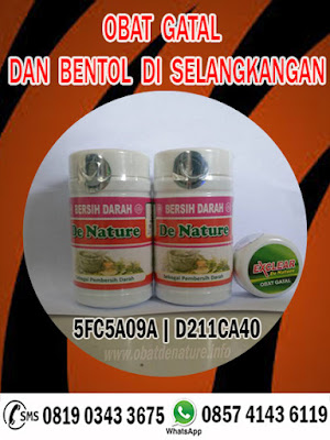 OBAT GATAL DAN BENTOL DI SELANGKANGAN