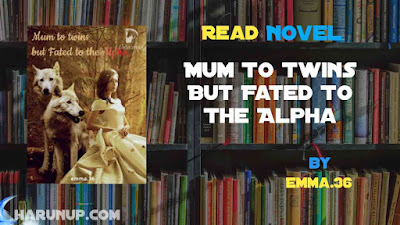 Read Novel Mum To Twins But Fated To The Alpha by Emma.36 Full Episode