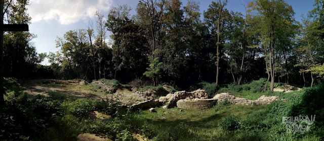 Az almádi bencés kolostorrom falmaradványai az erdőben, jobb középen a rotunda maradványaival