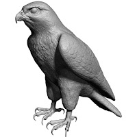 3D model falcon bird basic shape