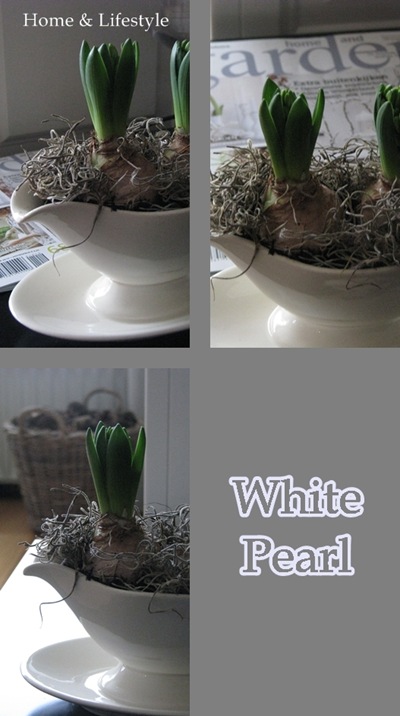 Collage White Pearl