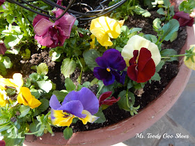 Spring on the Front Porch --- Ms. Toody Goo Shoes