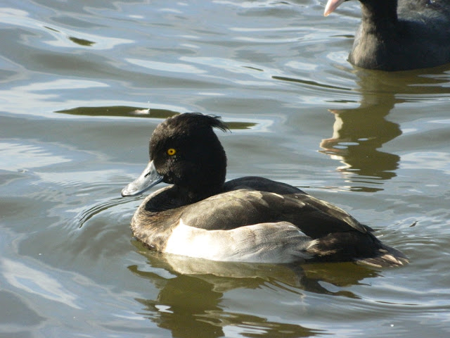 Ainsdale Sandhills Nature Reserve